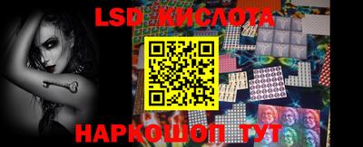 гашик Камышлов