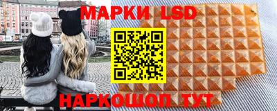 гашик Камышлов