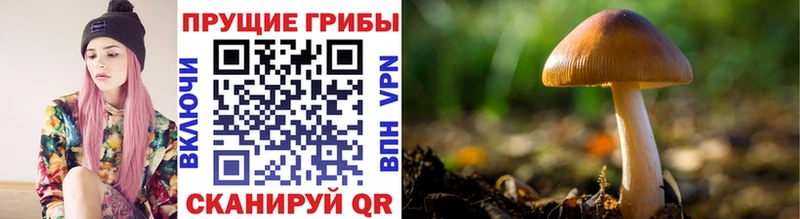 Галлюциногенные грибы ЛСД закладка Холмск