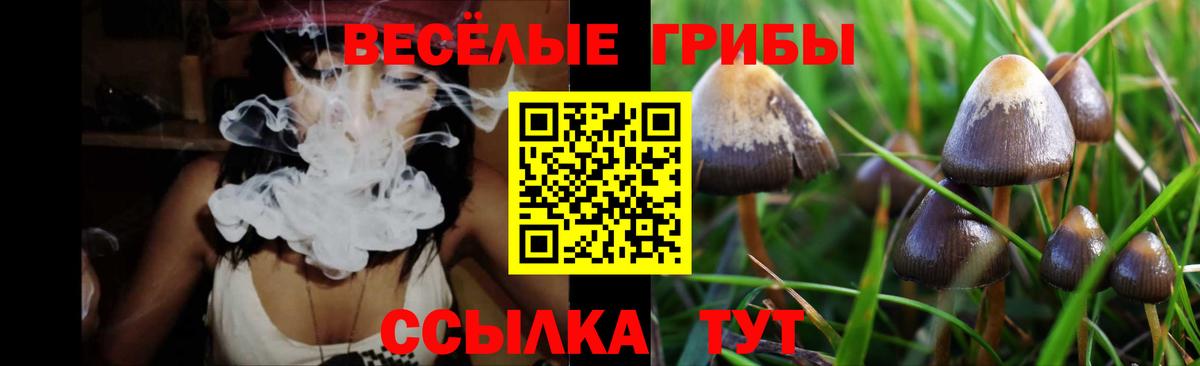 Холмск  Псилоцибиновые грибы GOLDEN TEACHER  Вход с VPN 